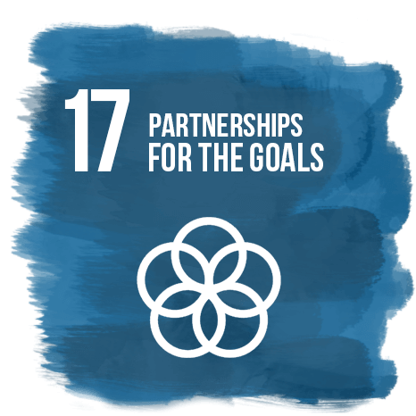Partnerships for the Goals